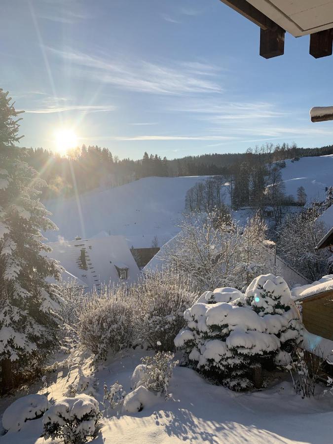 Ferienhaus Rotzinger Hinterzarten Zewnętrze zdjęcie