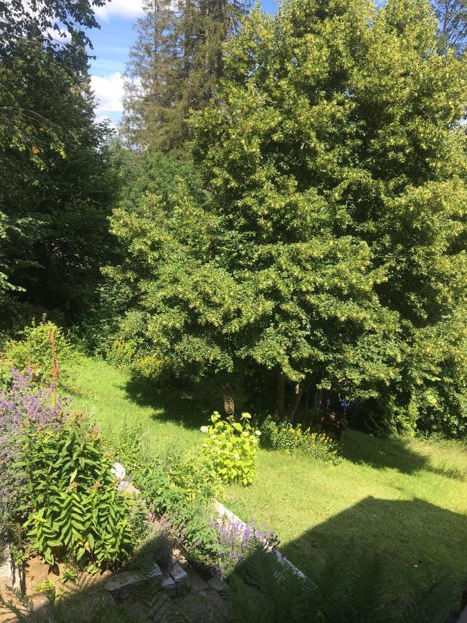 Ferienhaus Rotzinger Hinterzarten Zewnętrze zdjęcie