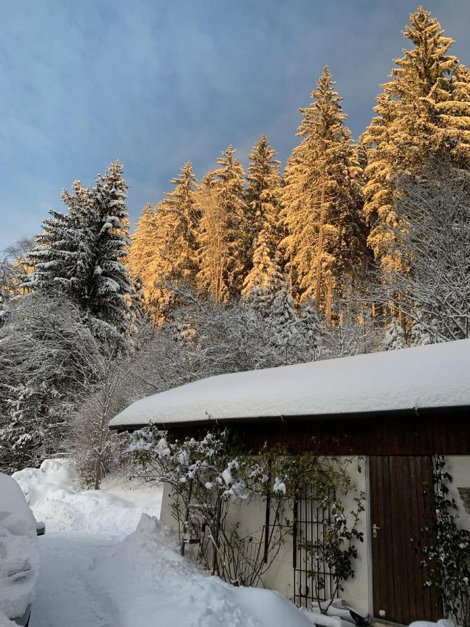 Ferienhaus Rotzinger Hinterzarten Zewnętrze zdjęcie